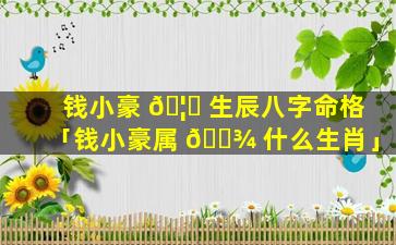 钱小豪 🦆 生辰八字命格「钱小豪属 🌾 什么生肖」